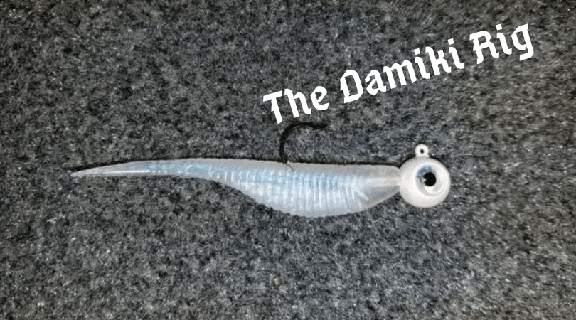 The Damiki Rig